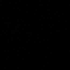 Meet your Posher, Timothy